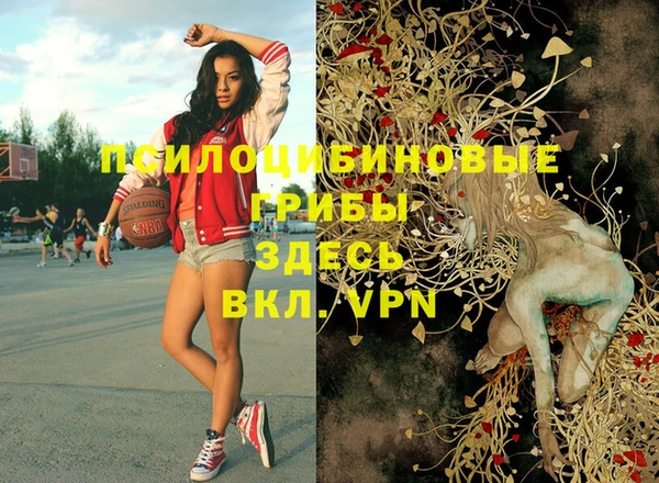 Альфа ПВП Бородино